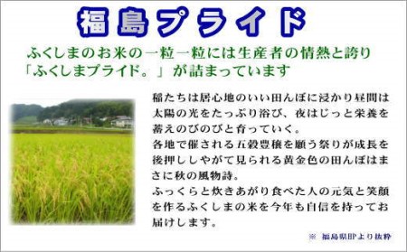  コシヒカリ 15kg 5kg×3袋 ギフト 贅沢 のし対応 １週間以内発送 福島 ふくしま 田村 贈答 美味しい 米 kome コメ ご飯 ブランド米 精米したて お米マイスター 匠 食味鑑定士 安藤米穀店