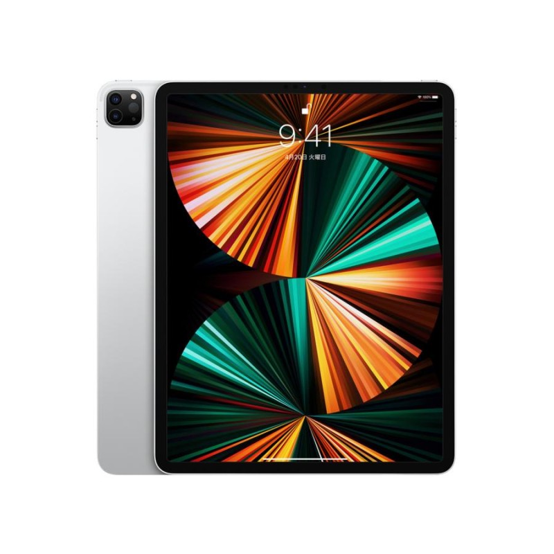 美品 simフリー 第5世代 ipad pro 12.9インチ 128gb