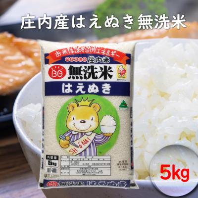 ふるさと納税 庄内町 はえぬき　無洗米　5kg