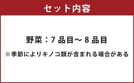 野菜のプロ40年が届ける こだわり野菜セット！ 7～8品目 詰め合わせ