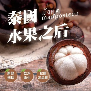 【五甲木】極鮮冷凍山竹(500g±5/包，共3包)