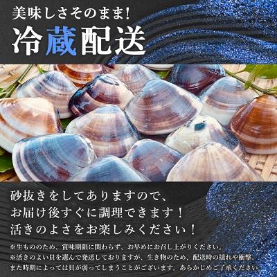 ふるさと納税 いすみ市 天然はまぐり約800g (千葉県産)