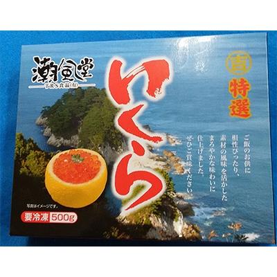 ふるさと納税 釜石市 塩いくら(3特)500g