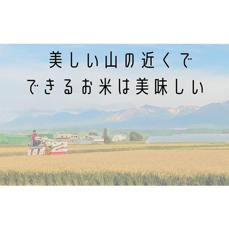 ふるさと納税 ◆2ヶ月に1回お届け 計6回定期便◆ななつぼし 精米 5kg  北海道 上富良野産 〜It's Our Rice〜  北海道上富良野町