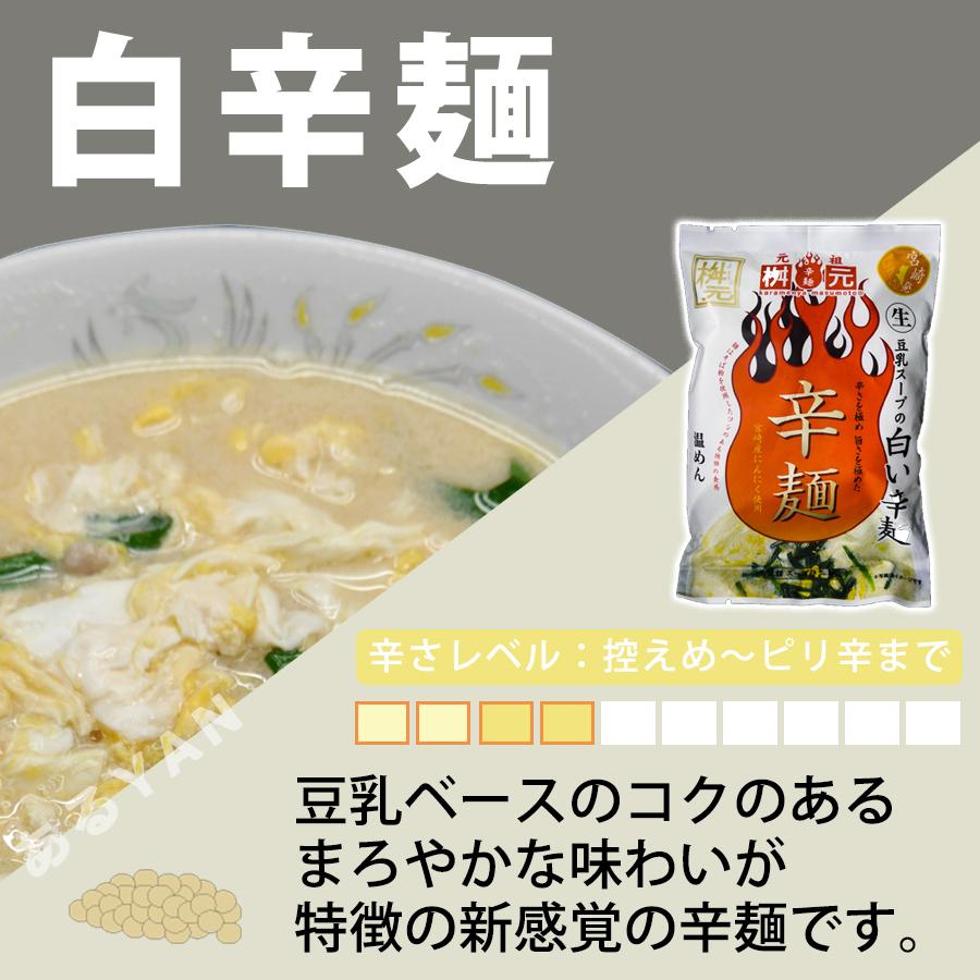 辛麺 10食セット (黒／小辛) 具材入 こんにゃく麺 九州 宮崎 辛麺屋 桝元 送料無料