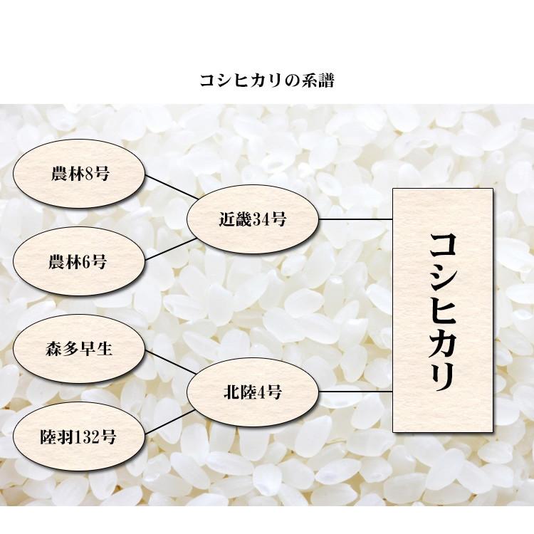 新米 お米 20kg 送料無料 白米 コシヒカリ 5kg×4袋 富山県産 令和5年産 お米 20キロ 食品 北海道・沖縄は追加送料