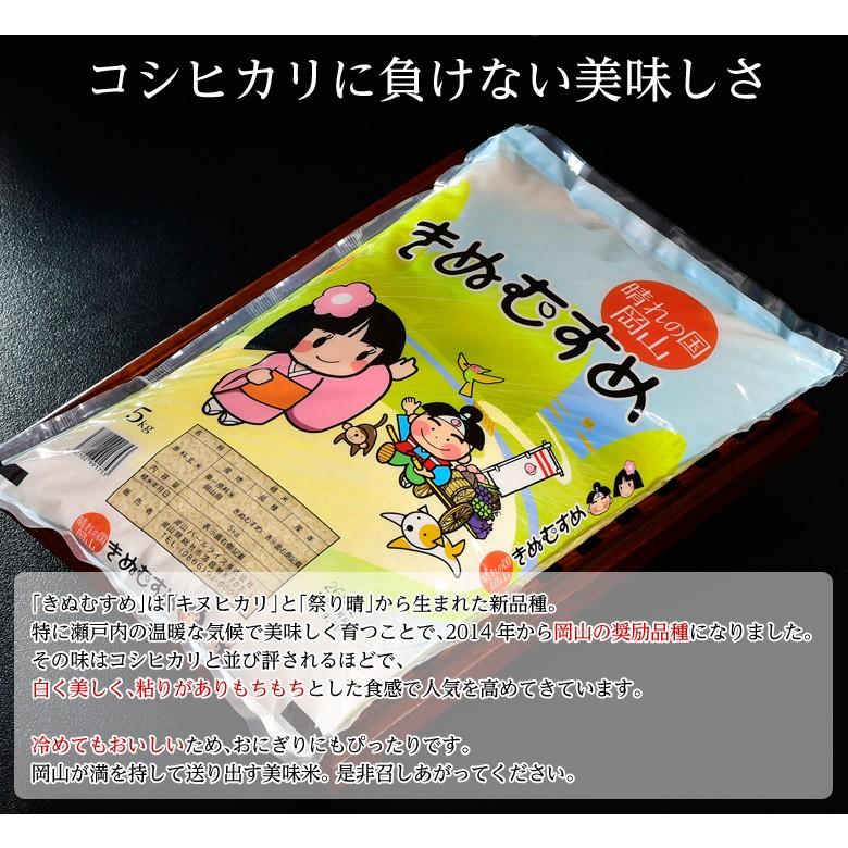 「きぬむすめ」 岡山県産 白米　5kg　※常温　送料無料