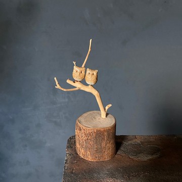 枝頭戀人 小不點貓頭鷹