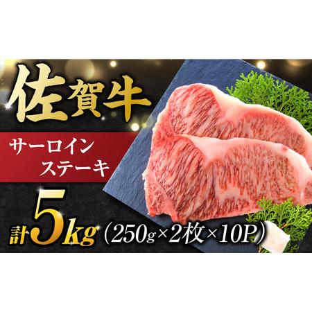 ふるさと納税 訳アリ ！ 佐賀牛 サーロインステーキセット 5kg 250g 2枚入り×10パック) 吉野ヶ里町[FDB012] 佐賀県吉野ヶ里町