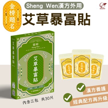 【Sheng Wen梁時】艾草暴富貼3入盒裝(金榜題名) | 一條根精油貼布 貼布 精油貼