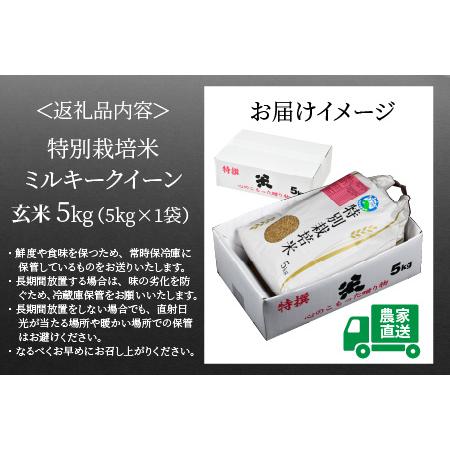 ふるさと納税 特別栽培米 ミルキークイーン 玄米 5kg 農薬不使用 化学肥料不使用 ／ 高品質 鮮度抜群 福井県産 ブランド米 .. 福井県あわら市