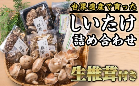 椎茸づくし！しいたけ詰め合わせセット FA-4