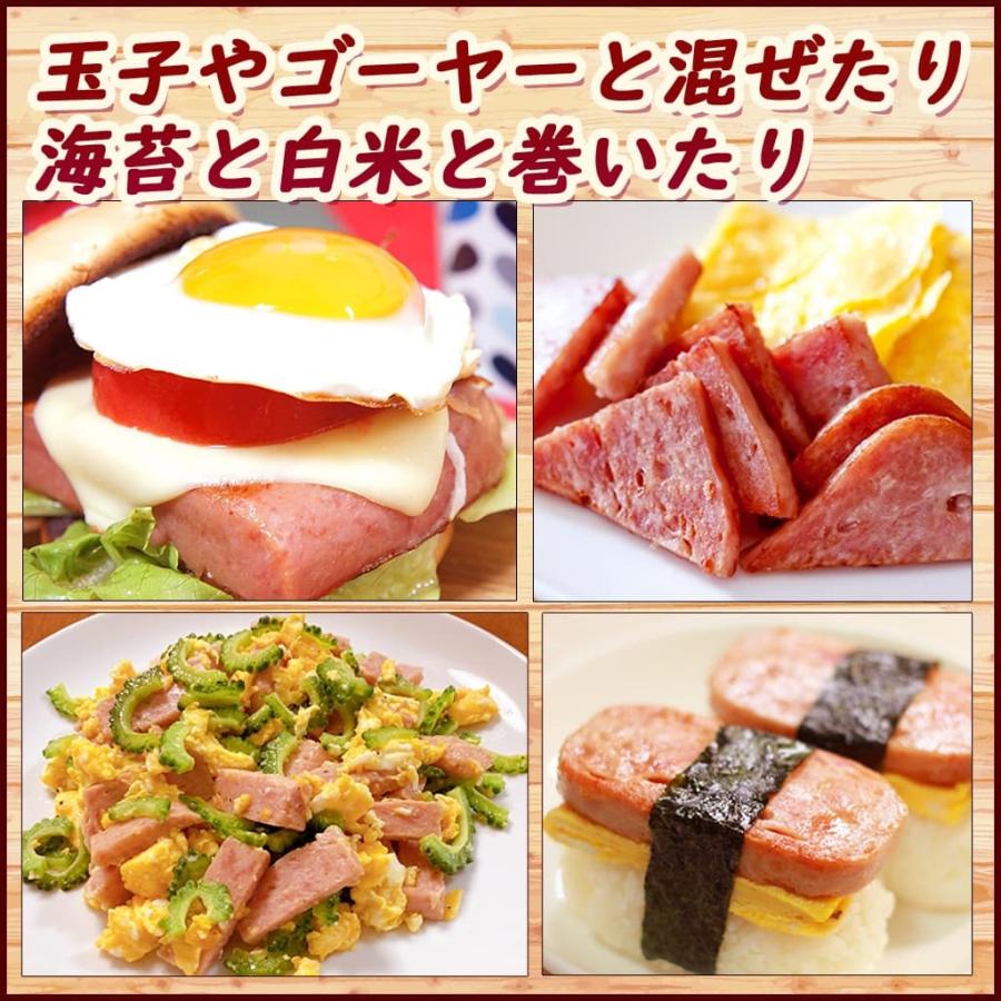 ポークランチョンミート ポーク串 うす塩味 チューリップ 340g  3個セット