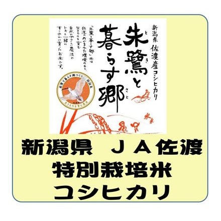 新潟県産 ＪＡ佐渡 特別栽培米 コシヒカリ　令和4年産　白米　10kg　送料無料（本州のみ）