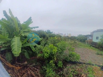 專約#台29線道旁玉荷包荔枝園美農地｜高雄市大樹區興田段