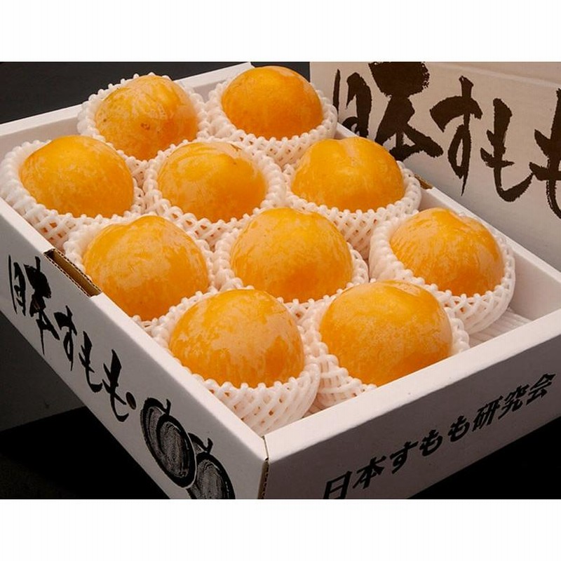プラム すもも スモモ 山形県産 峰満イエロー 化粧箱 10〜15玉 約1.7kg
