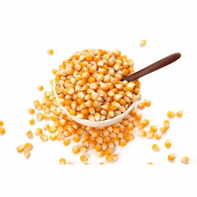 ポップコーン 1kg まめやの底力 お徳用 手作り Pop Corn 豆