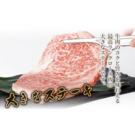 ふるさと納税 KU309 宮崎牛ロースステーキセット 計500g (250ｇ×2) 宮崎県串間市