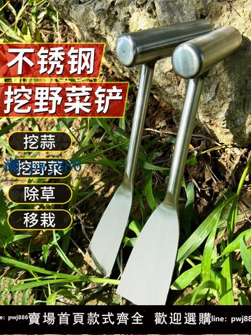 【可打統編 超低價】園藝不銹鋼鏟子園藝小鏟子挖野菜的鏟子園藝農用除草神器種菜盆栽