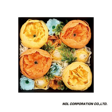 日本NOL-花樣朵朵入浴劑組(橘)(洗澡玩具/泡澡/交換禮物)-快速出貨