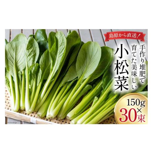 ふるさと納税 長崎県 島原市 小松菜 150g×30束