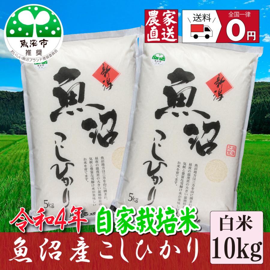 新米 お米１０ｋｇ 令和5年産 魚沼産コシヒカリ 精米 5kg×２袋  安心安全 農家直送 信頼と品質のお米 魚沼市推奨コシヒカリ 送料無料