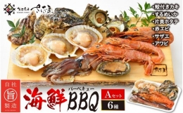 [e04-a069] 厳選！海鮮BBQ≪A≫セット（6種13品、3～4人用） 牡蠣 イカ ホタテ エビ サザエ  アワビ バーベキュー アウトドア 網焼き 冷凍便 お手軽