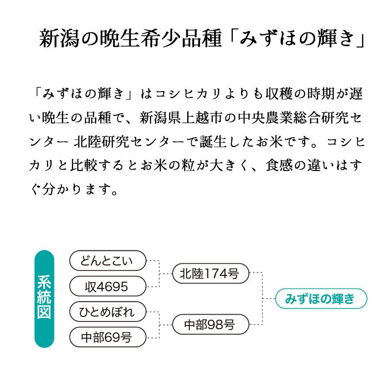 新米 5kg みずほの輝き お米 5キロ 令和5年産 新潟県産 精米 白米