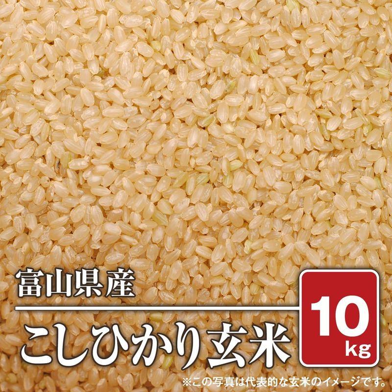 玄米富山県産 こしひかり（令和4年）10kg