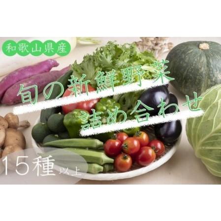 ふるさと納税 旬の新鮮野菜詰め合わせたっぷり15種以上 和歌山県印南町