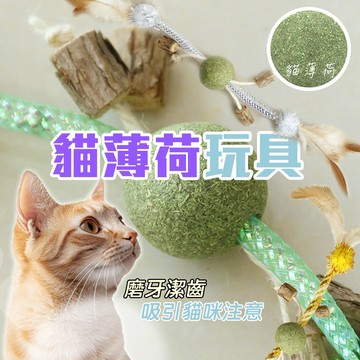 啃咬玩具 彈力網管 木天蓼【網管羽毛貓薄荷球】逗貓玩具 貓薄荷球 貓玩具球 寵物鈴鐺球 貓咪玩具