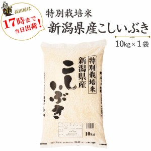 新米 新潟県産こしいぶき 10kg 特別栽培米 令和5年産 送料無料(一部地域のぞく)