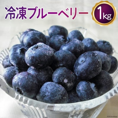 冷凍 ブルーベリー 1kg [ノーザン・ベリーズ 北海道 砂川市 12260395] 果物 フルーツ
