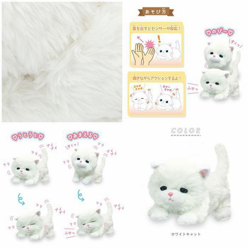 ☆ ホワイトキャット しゃべる ぬいぐるみ 通販 おしゃべり
