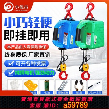 【全網低價 可打統編】便攜式電動葫蘆微型電動葫蘆220v家用小吊機提升機遙控牽引電葫蘆