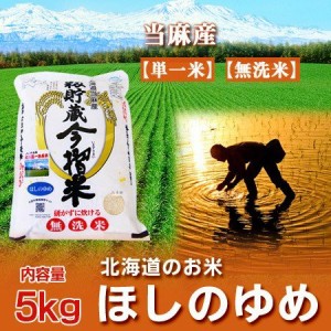 米 無洗米 北海道産米 送料無料 お米 米 北海道米 ほしのゆめ 米 5kg 5キロ 当麻米