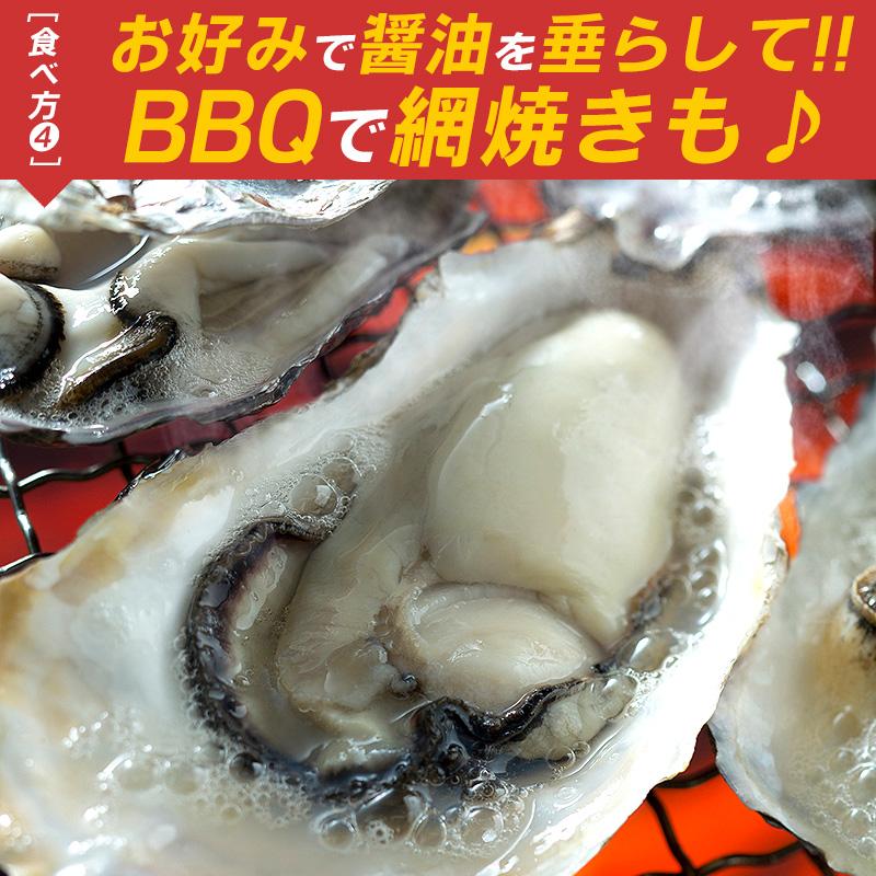 カキ かき 牡蠣 生食用 殻付き 12個 冷凍 兵庫県室津産 冷凍殻付き牡蠣 お歳暮 ギフト