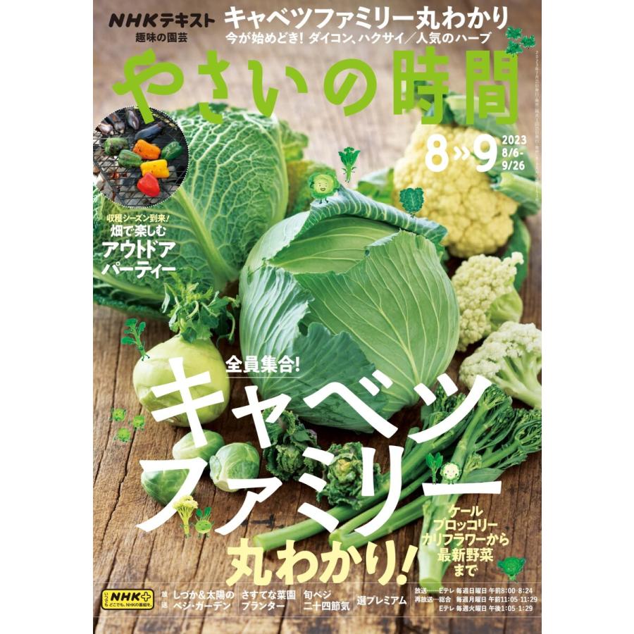 NHK 趣味の園芸 やさいの時間 2023年8月・9月号 電子書籍版   NHK 趣味の園芸 やさいの時間編集部