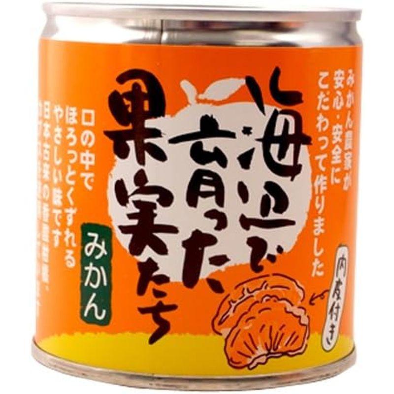 みかん缶詰 海辺で育った果実たち（愛媛産みかん100%使用） ×6缶セット