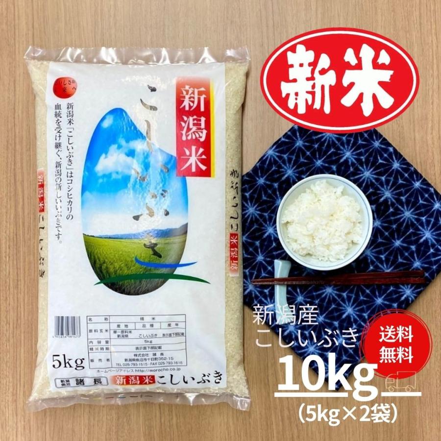 新米 米 お米 10kg こしいぶき 新潟産 5kg×2袋 本州送料無料 令和5年産