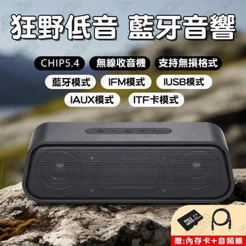 隔日達🚀重低音藍芽音響 送音頻線 德國柏林之聲 低音炮雙喇叭戶外音響 防水音響 收音藍芽喇叭 FM無線音箱 電腦喇叭
