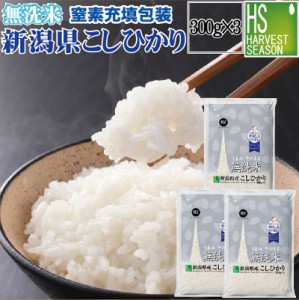  新米 令和5年産 無洗米 新潟県産コシヒカリ300g(2合)×3袋(計900g)ポイント消化に！