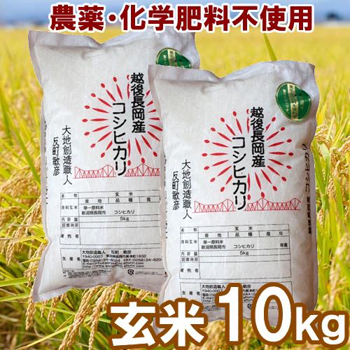 無農薬・化学肥料不使用　玄米 10kg　大地創造職人