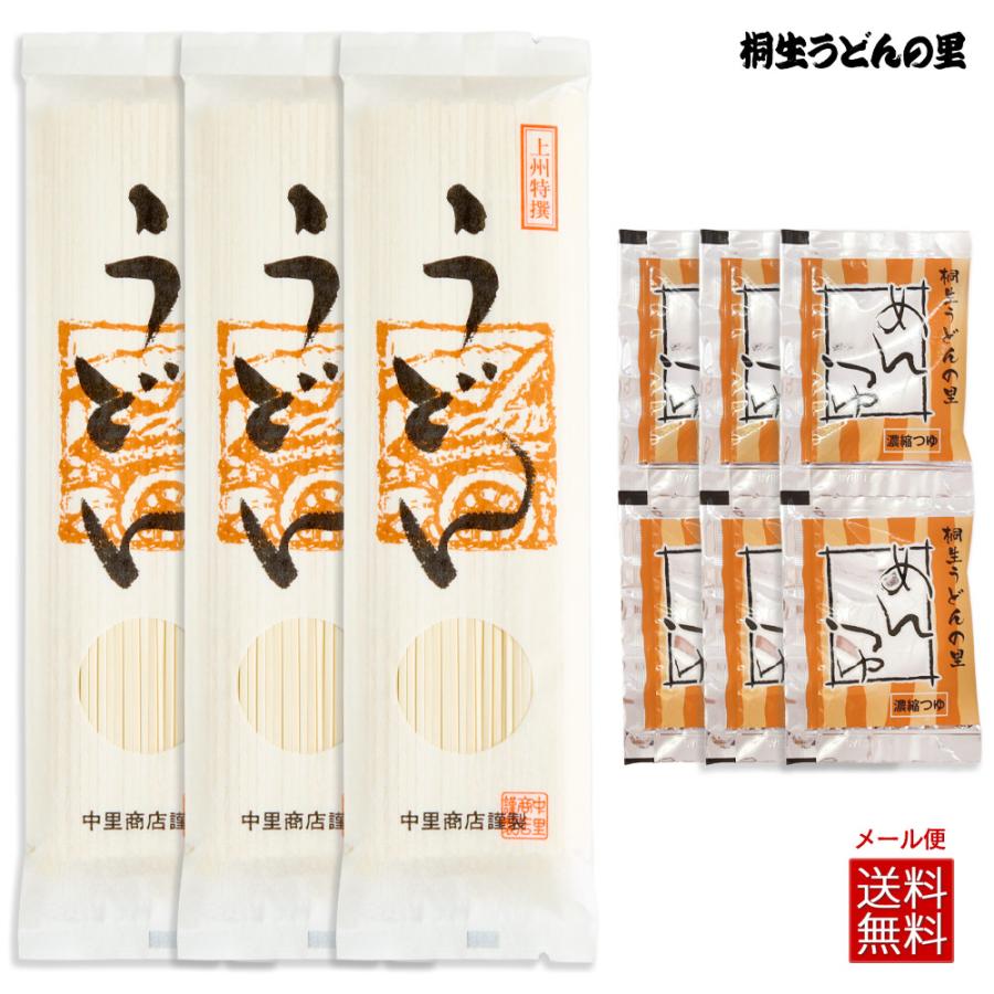 製麺工場直送 上州特撰うどん 200g×3袋 濃縮つゆ6人前 送料無料 1000円ポッキリ 