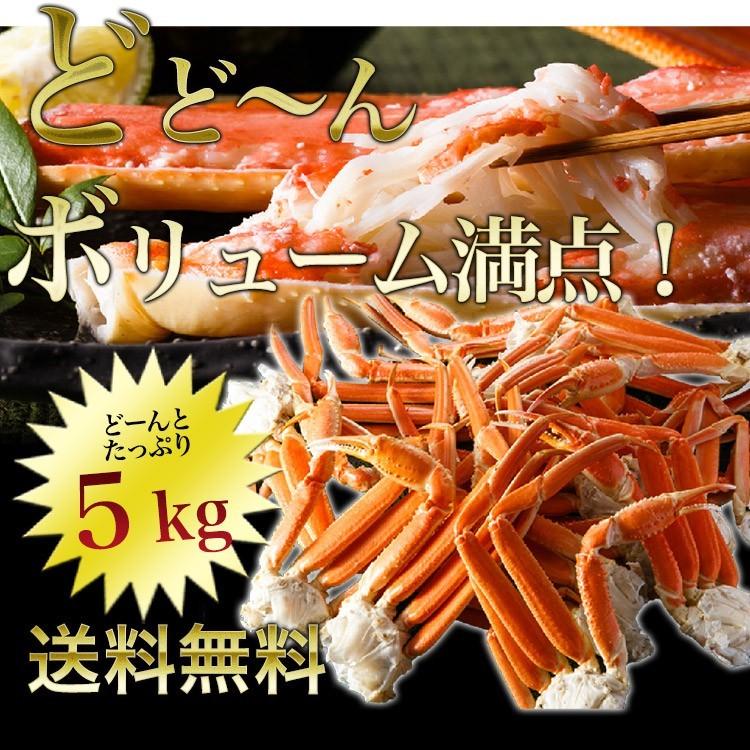 特大ずわいがに脚 5kg 送料無料 冷凍便 ズワイガニ ボイル かに カニ 蟹 お取り寄せ