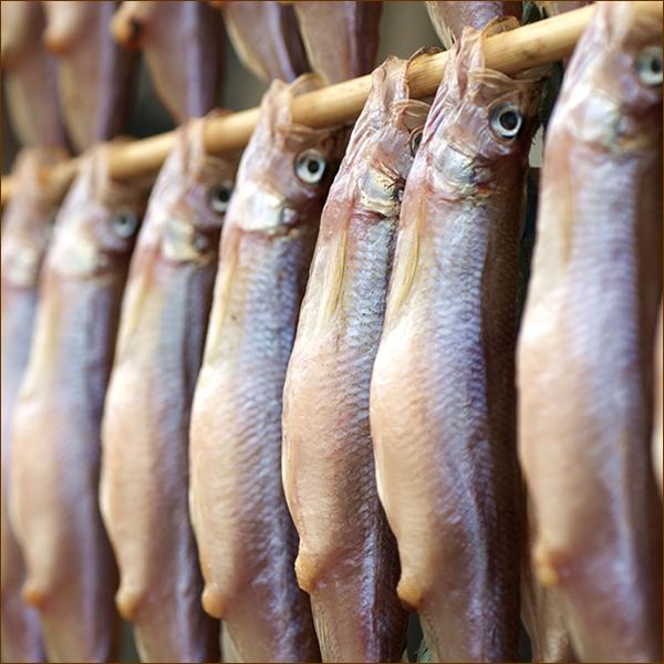 北海道産 干物 ししゃも (メス子持ち 30尾入り) 本ししゃも シシャモ 柳葉魚 冬ギフト お歳暮 ギフト 贈り物 北海道 グルメ 送料無料 お取り寄せ