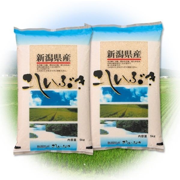 2023年度産 令和5年産 新米 ふるさと名物商品 新潟産 こしいぶき 10kg (5kg×2個) 米 お米 精米済み 美味しい 代引不可 同梱不可