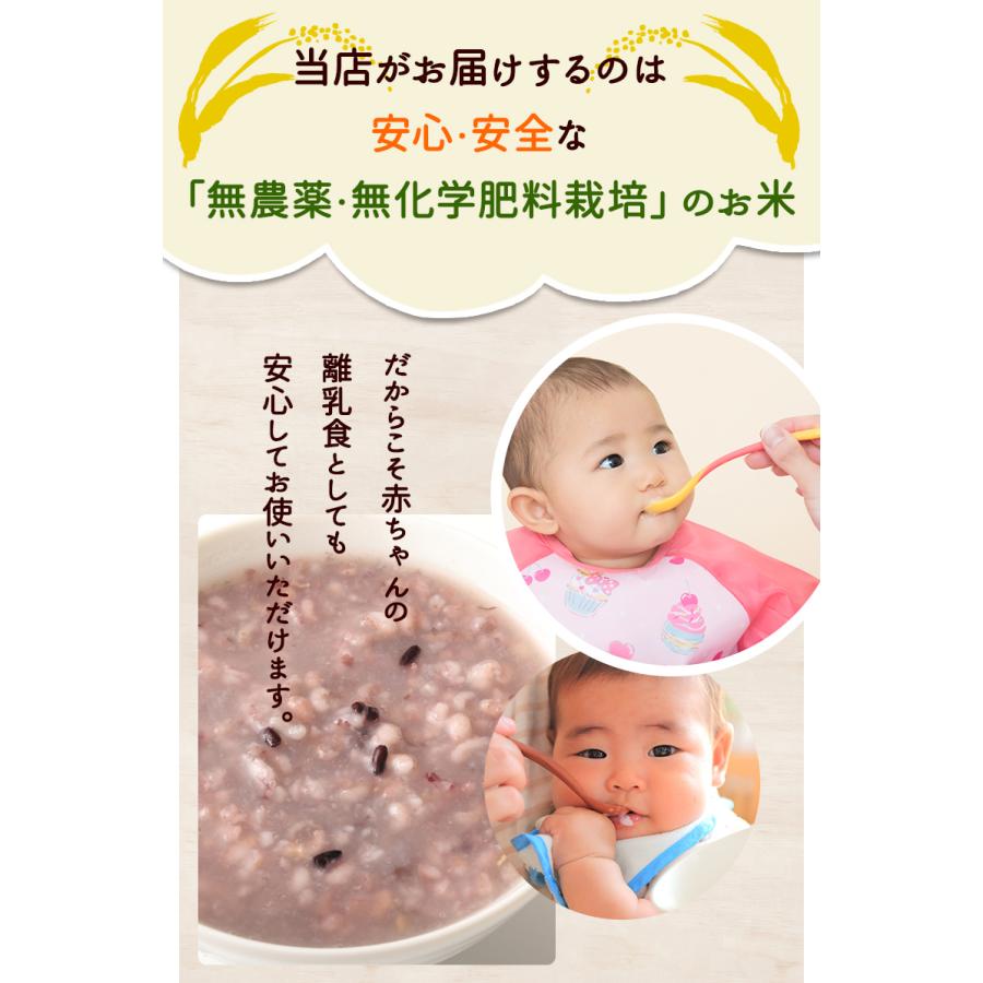 黒米（紫黒苑・古代米）1kg 福井県令和5年産 無農薬・無化学肥料栽培