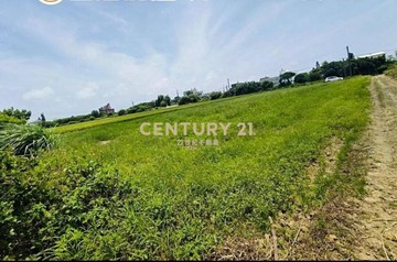 觀音市區稀有都內農(甘泉段)｜桃園市觀音區甘泉段