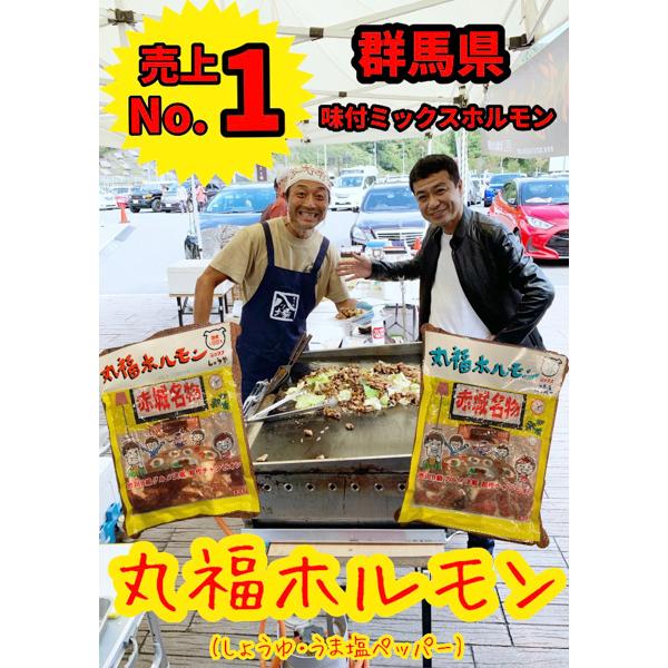 国産 豚ホルモン 焼肉 丸福ホルモン「うま塩ペッパー」200g 6袋セット 味付き ミックスホルモン ホルモン焼き キャンプ飯